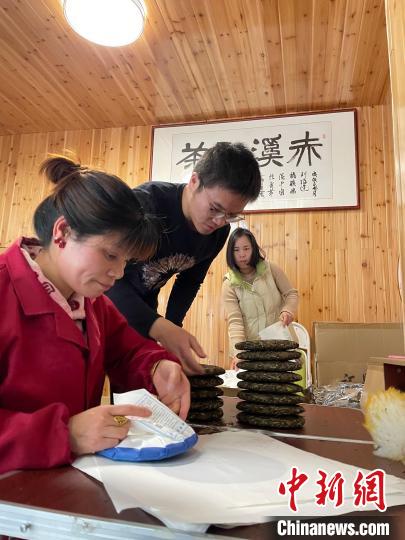 資料圖：杜贏(左二)在整理白茶餅?！×执阂?攝