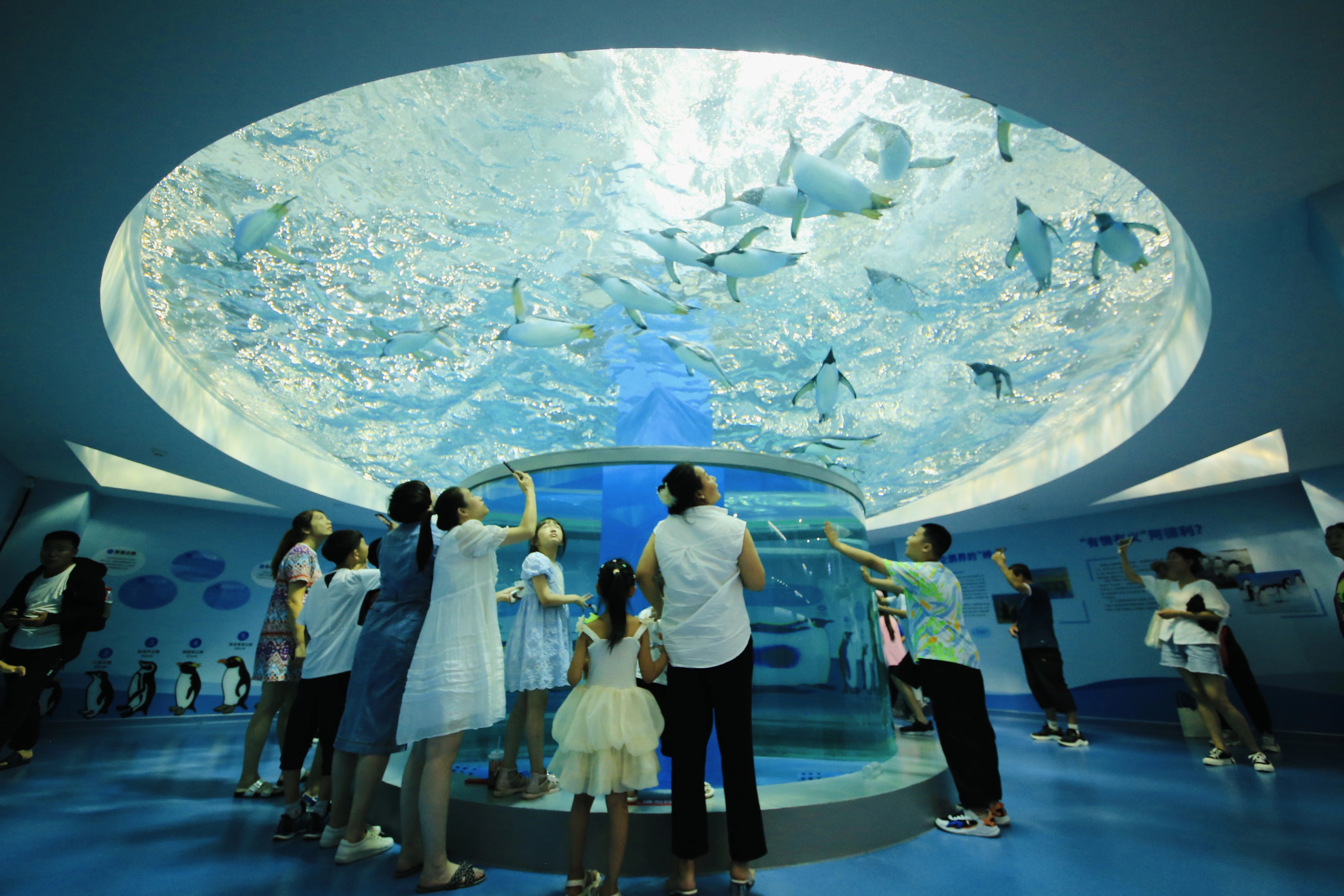 微信圖片_2025-08-13_145949_976.jpg